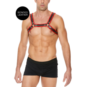 Leather Bulldog Harness with Buckles 